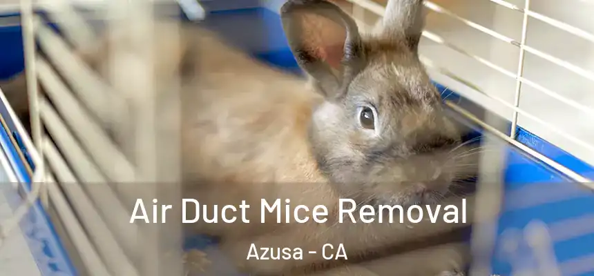 Air Duct Mice Removal Azusa - CA