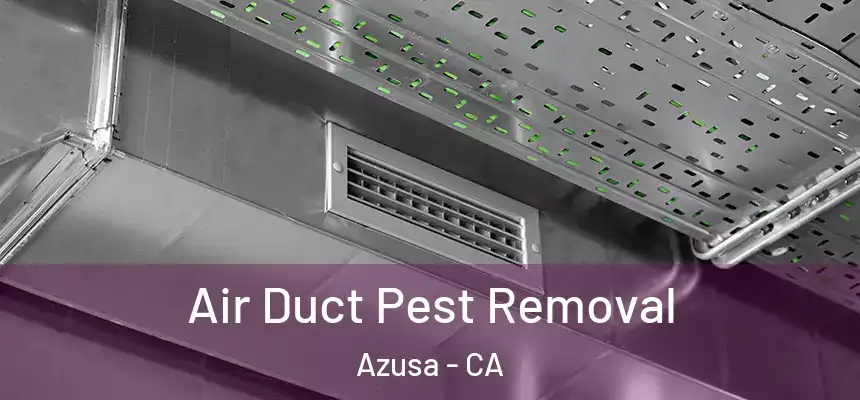  Air Duct Pest Removal Azusa - CA