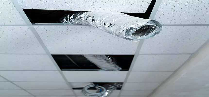 Affordable HVAC Sanitizing After Pest Removal in Azusa