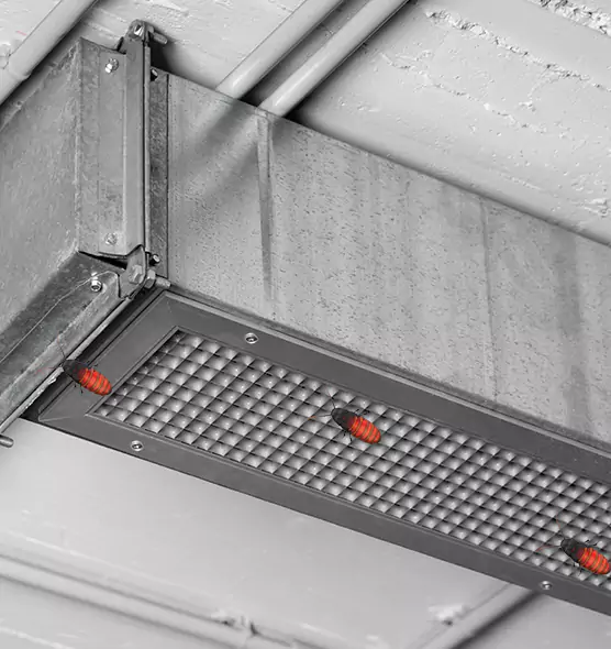 Affordable Insect Removal from Air Ducts in Azusa, CA