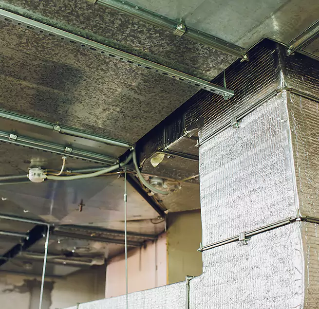 Why Homeowners & Businesses Trust Us in Azusa, CA?